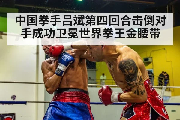 boxer knockout punch