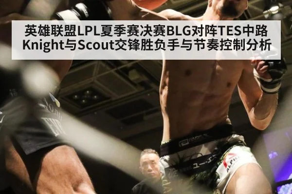 英雄联盟LPL夏季赛决赛BLG对阵TES中路Knight与Scout交锋胜负手与节奏控制分析